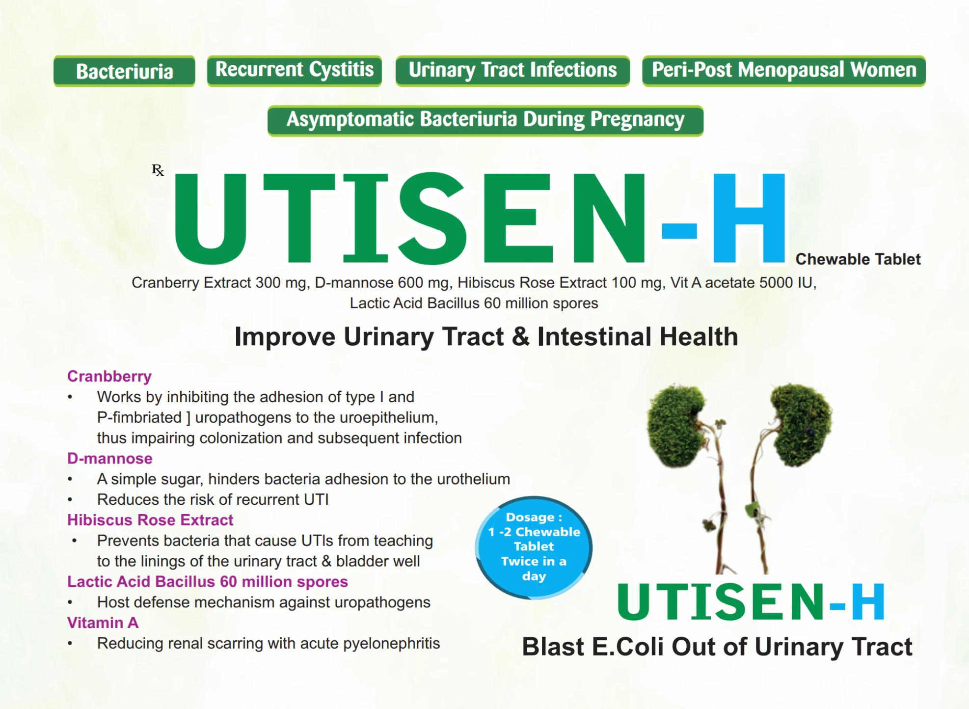 UTISEN-H