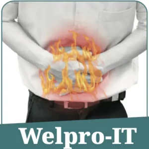 Welpro-IT